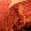 Macro Cisus 0001